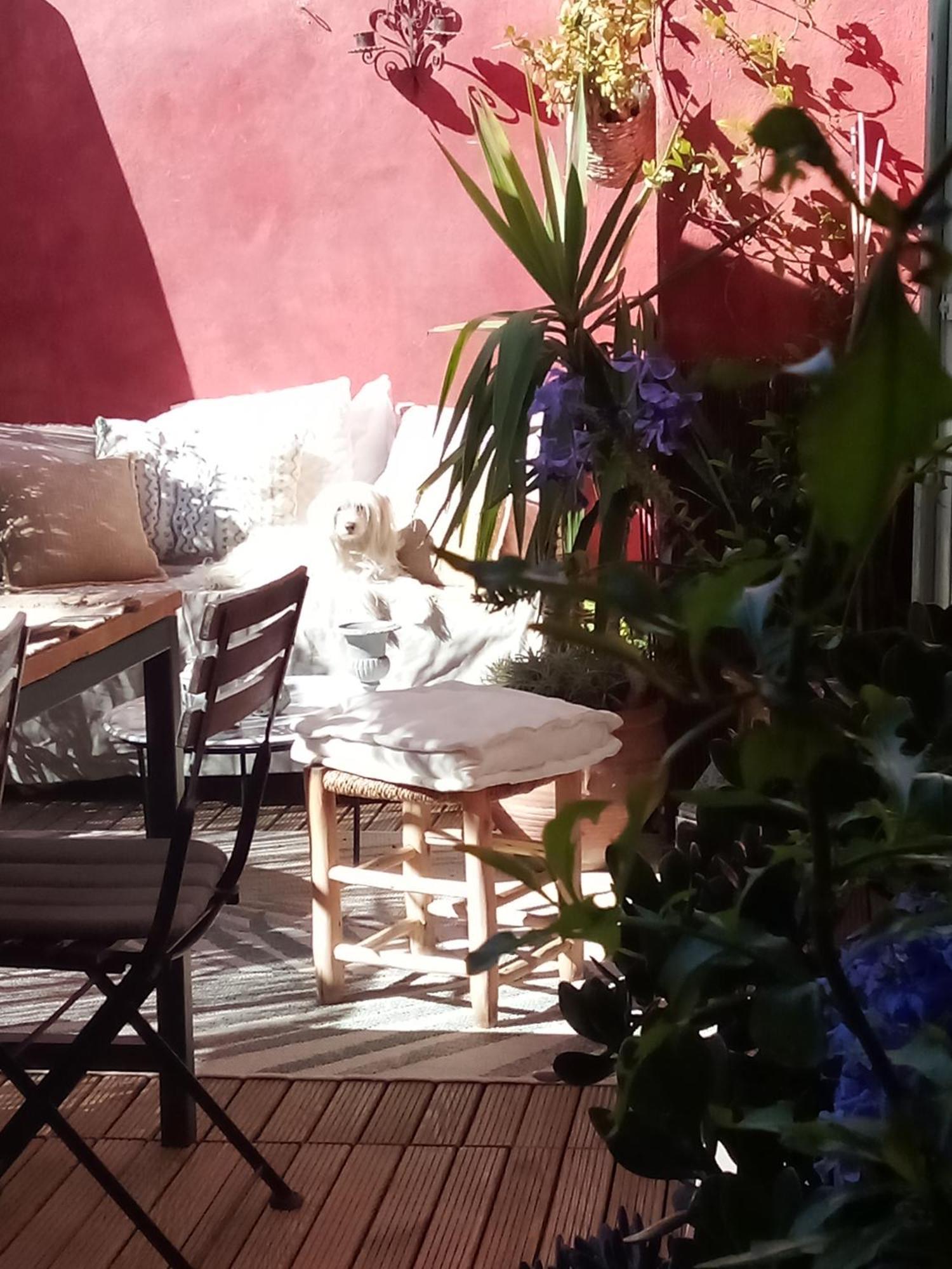 La Maison Perchee Aigues-Mortes Room photo